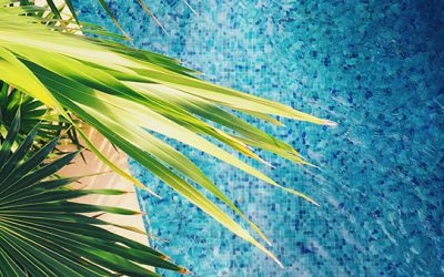 SAP Business One 10.0 FP 2305 is available