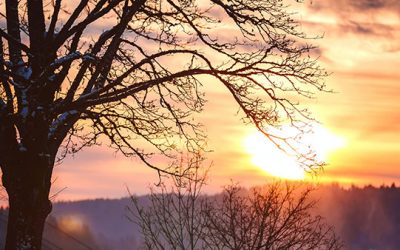 MARIProject 7.3 is available