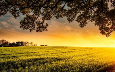 MARIProject 7.2 is available